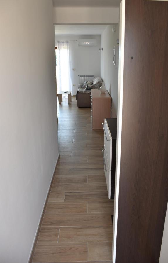 Apartmani Diana Novigrad  Zewnętrze zdjęcie